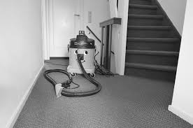 carpet rug cleaning