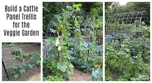 Vegetable Garden Arch