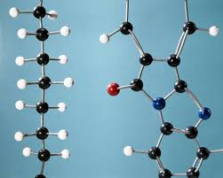 monomers and polymers in chemistry