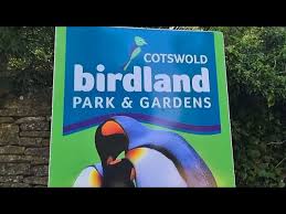birdland park gardens in bourton on