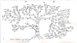Hand Drawn Family Tree Family Tree Art Tree Art Genealogy