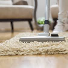 domestic carpet cleaning arwin