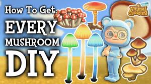 how to get every mushroom diy