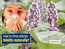 treat allergic rhinitis naturally