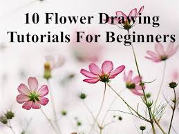flower drawing tutorials for beginners