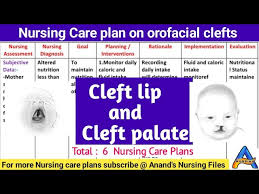 nursing care plan on cleft lip and