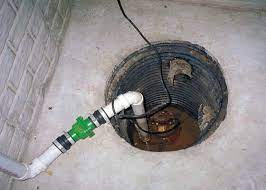 drain flies in your basement