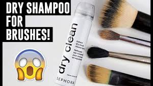 dry shoo for makeup brushes