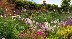 10 Beautiful Flower Bed Ideas Park Seed