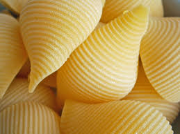 Image result for dried giant conchiglie