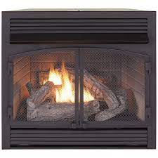 Dual Burner Gas Fireplace Insert