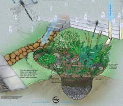 Rainwater Harvesting Rain Gardens