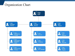 Organization Chart Ppt Examples Powerpoint Shapes