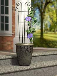 Diamond trellises are an elegant option for a privacy screen, while an expanding willow trellis looks beautiful against brick walls. Panacea 89636 Pot Trellis Green Buy Online At Best Price In Uae Amazon Ae