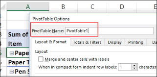 excel pivot table option settings