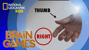 right or left hand game brain games