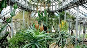 Auch die vielfalt seiner 20.000 pflanzenarten reiht ihn in die gruppe der bedeutendsten gärten ein. Botanischer Garten Berlin Ausflug Mit Kind Himbeer