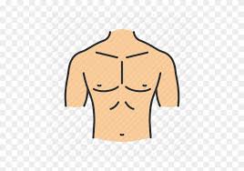 The joint space is surrounded by a synovial membrane. Abdomen Body Part Chest Parts Of The Body Chest Free Transparent Png Clipart Images Download