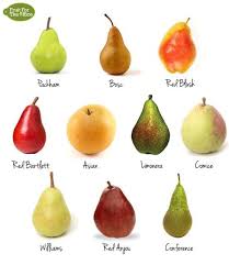 Pear Types 10 Types Of Pears In 2019 Fruit Pear Fruit