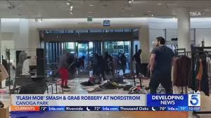 Flash Mob Hits Another High-End Store In L.A. County, Steal Estimated $100K  In Merchandise – Deadline