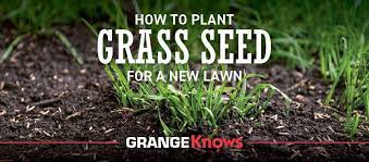 How To Plant Grass Seed For A New Lawn