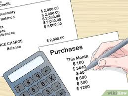 I only have one other credit card in my name that has $300 and will be paid off by the end of the month. 3 Ways To Check Your Credit Card Balance Wikihow Life