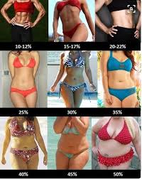what is an ideal body fat percene