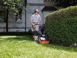 A Lawn Mowing Business