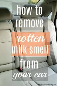 rotten milk smell out of the car