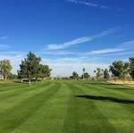 Toka Sticks Golf Club | Mesa AZ