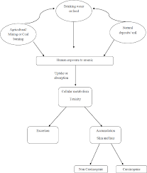 Figure 1 From Risk Assessment Of Arsenic In Arabic Area Rice