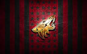 arizona coyotes flag nhl red black