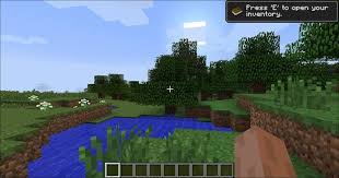 Image result for MINECRAFT steve spawning