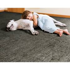 peabody pure natural wool carpets