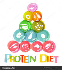 Protein Diet Chart Stock Vector Annyart 252051704