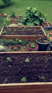 How To Start An Herb Garden Happy Diy