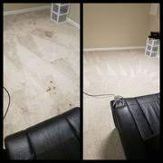 vericlean carpet cleaning updated