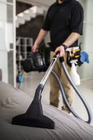 carpet shooing cleaning services