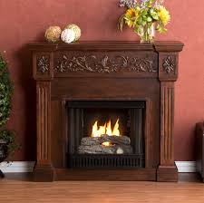 Electric Fireplaces And Gel Fuel Fireplaces