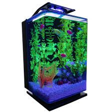 Glofish Hinged Cycle Light And Hidden Filtration Aquarium