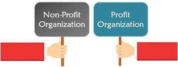profit and non profit organisation