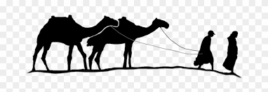 ✓ free for commercial use ✓ high big herd of camels standing on the sandy ground of a desert. Picture Camel And Man Png Free Transparent Png Clipart Images Download