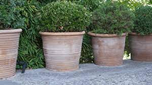 are terracotta pots good for plants