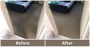 stelus carpet cleaning