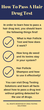 How long will drugs show up in a hair follicle drug test after you've taken them? Pin On How To Pass A Hair Drug Test