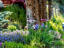 They can be seeded from the last frost to early summer and will consistently produce blooms all season if dying blooms are deadheaded — truly a cut and come again flower. All Season Flower Gardens Designing Year Round Gardens