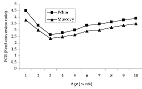Feed Conversion Efficiency Of Pekin And Muscovy From The