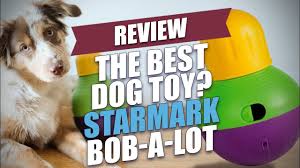 dog toy starmark bob a lot review