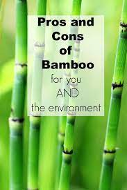 pros and cons of bamboo turning the