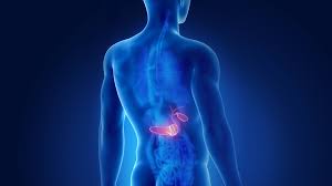 what causes gallstones and how can you